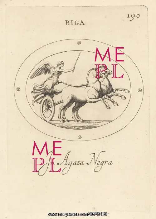 : Winged figure of Victoria driving a biga : Winged figure of Victoria driving a biga