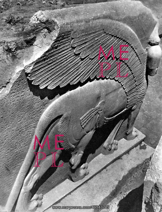 : Winged and harnessed lioness : Winged and harnessed lioness