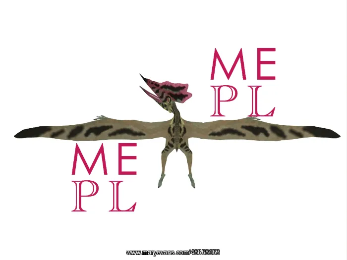 : Wingspan of a Thalassodromeus pterosaur : Wingspan of a Thalassodromeus pterosaur