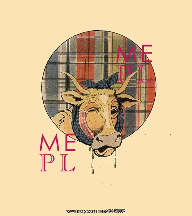 : Winking Cow : Winking Cow