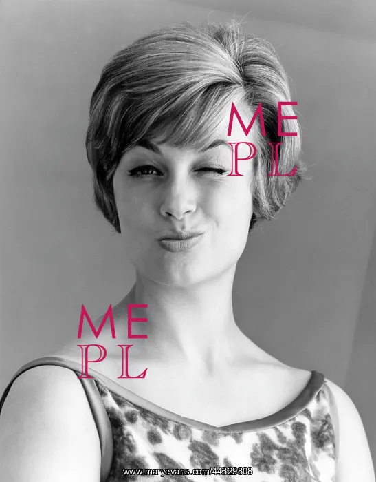  : WINKING MODEL