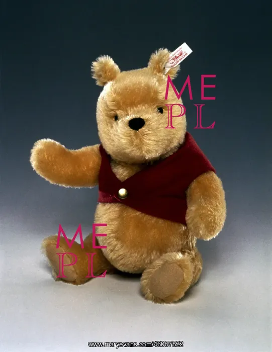  : Winnie the Pooh