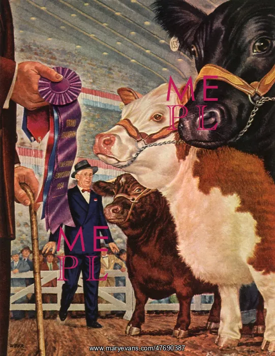  : Winning Bulls