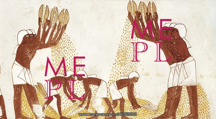 : Winnowing of the grain in the threshing floor : Winnowing of the grain in the threshing floor