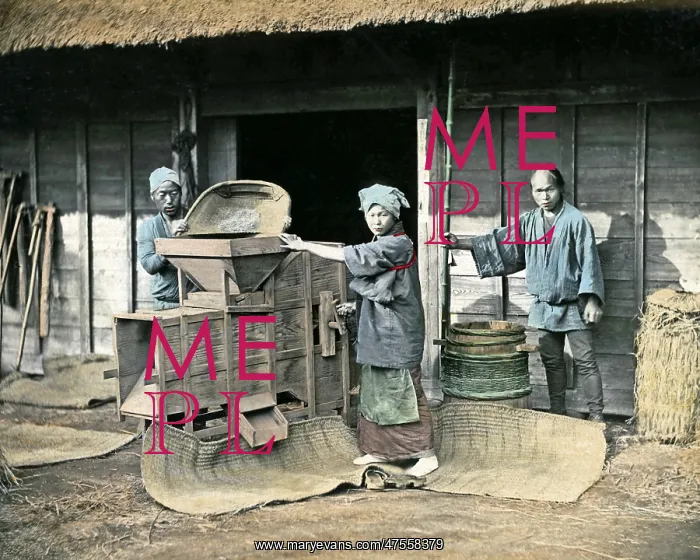  : Winnowing rice, Japan