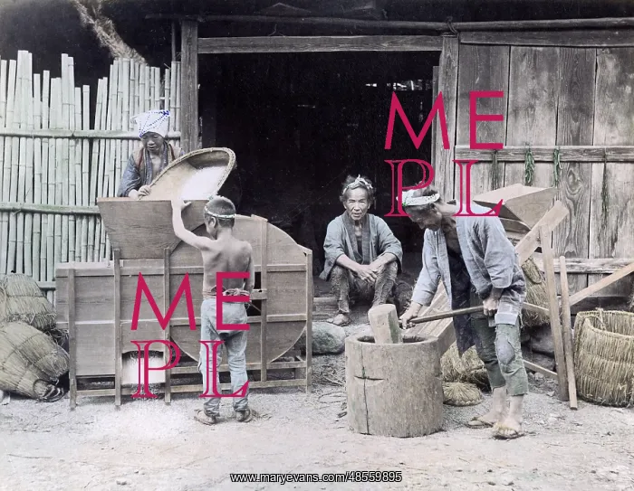  : Winnowing rice, Japan, circa 1880s