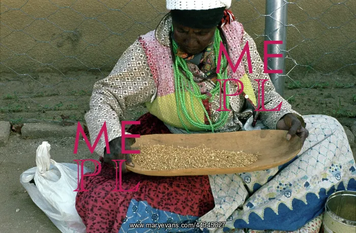  : Winnowing using the gabukahas dish 1, Damara, Andrew