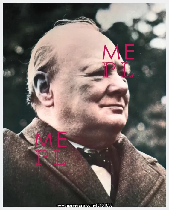 : Winston Churchill : Winston Churchill