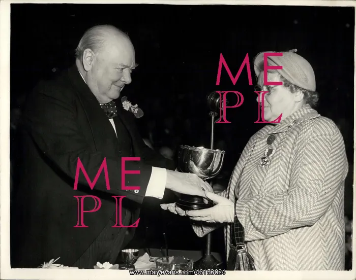 : Winston Churchill presents cup, Primrose League meeting : Winston Churchill presents cup, Primrose League meeting