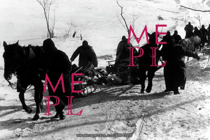 : Winter battles, 1942 : Winter battles, 1942