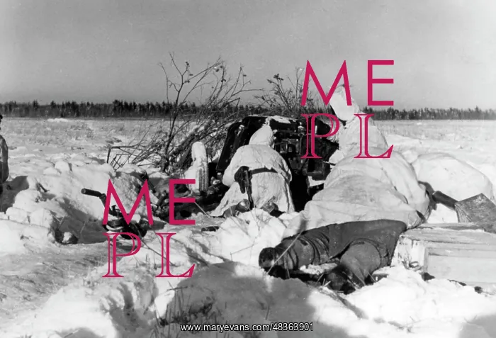 : Winter battles at Toropez, 1942 : Winter battles at Toropez, 1942