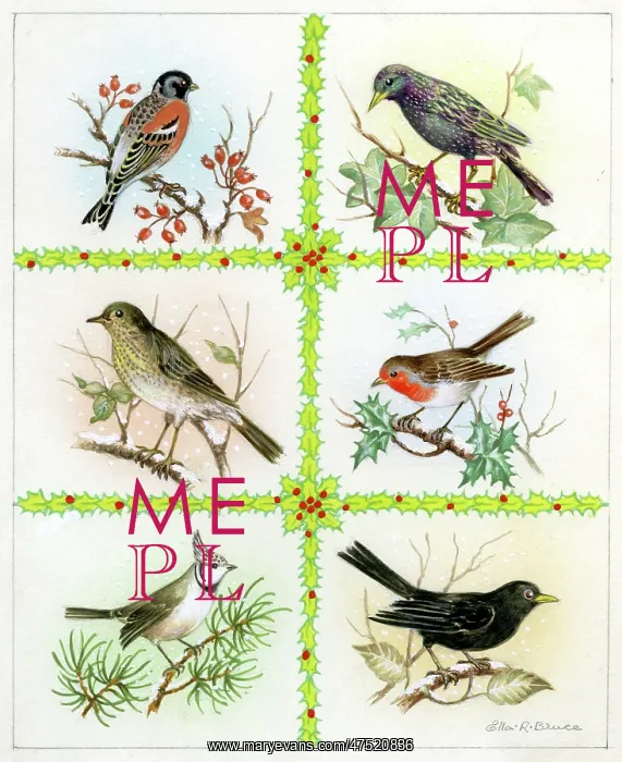 : Six winter birds with holly : Six winter birds with holly