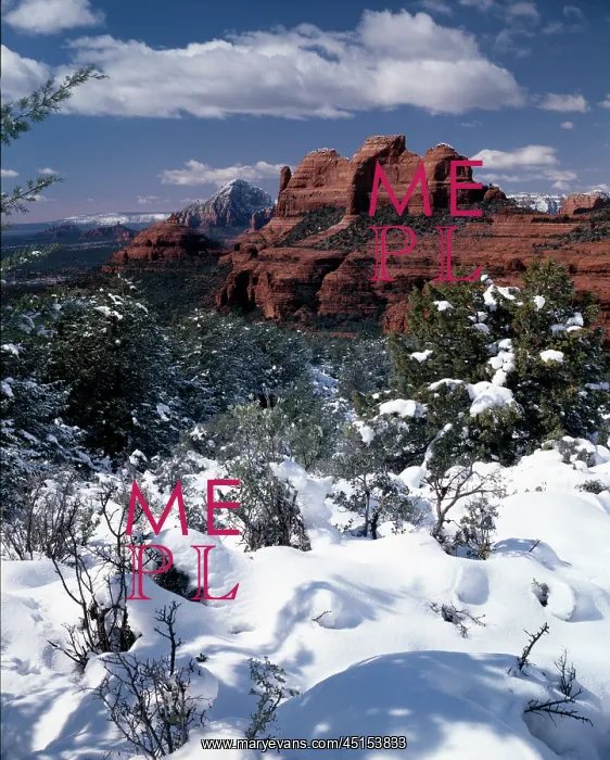 : Winter In The Canyon : Winter In The Canyon