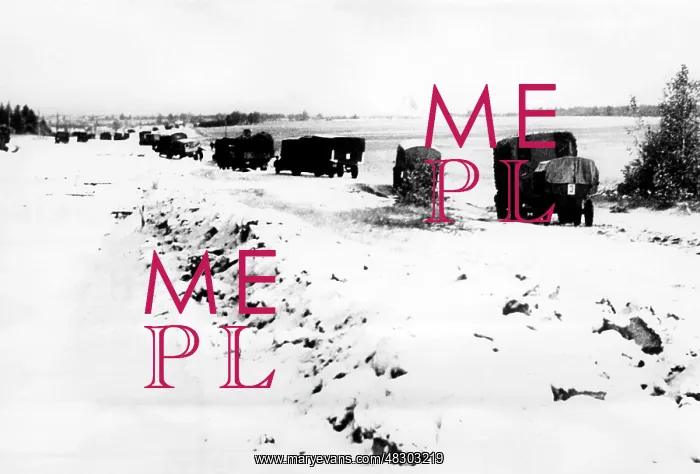 : Winter on the Eastern Front, 1941 : Winter on the Eastern Front, 1941