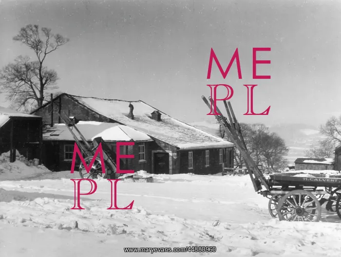 : WINTER FARM SCENE : WINTER FARM SCENE