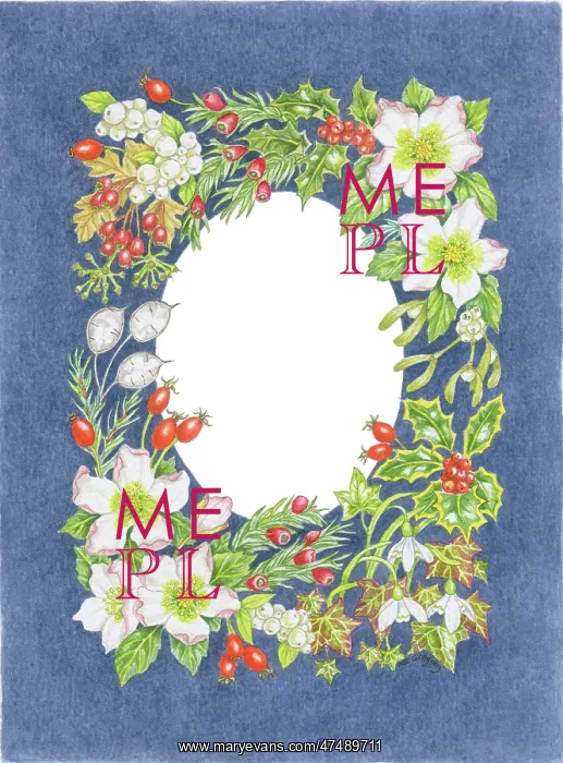 : Winter Floral border on a dark blue background : Winter Floral border on a dark blue background
