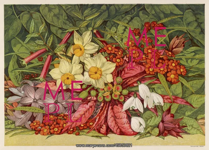 : WINTER FLOWERS 1866 : WINTER FLOWERS 1866