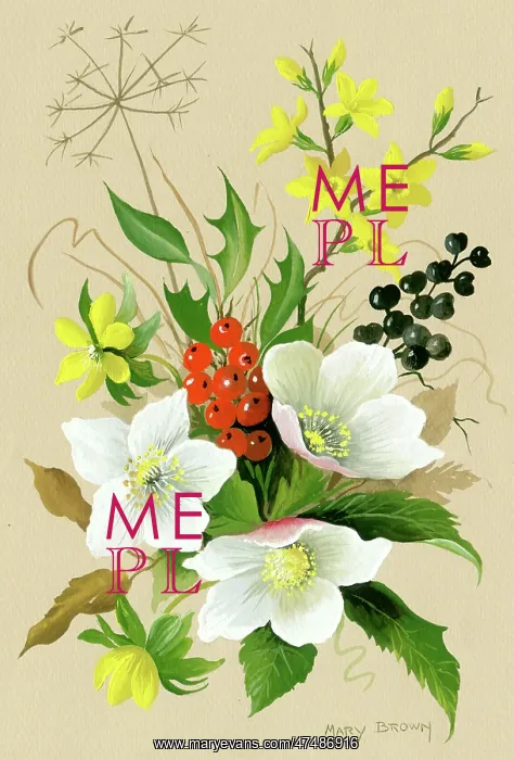  : Winter Flowers