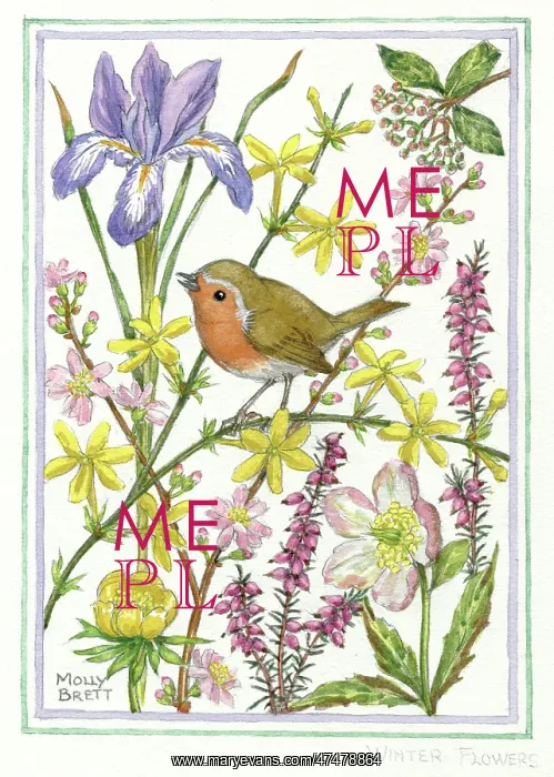 : Winter Flowers - iris, winter jasmine, etc : Winter Flowers - iris, winter jasmine, etc