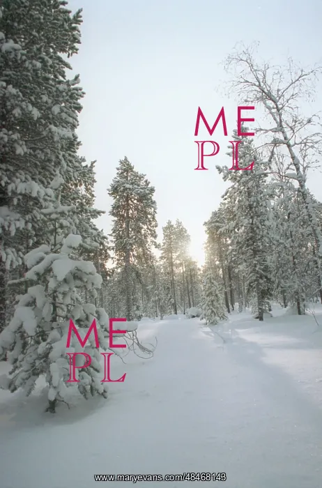  : Winter forest, 1994