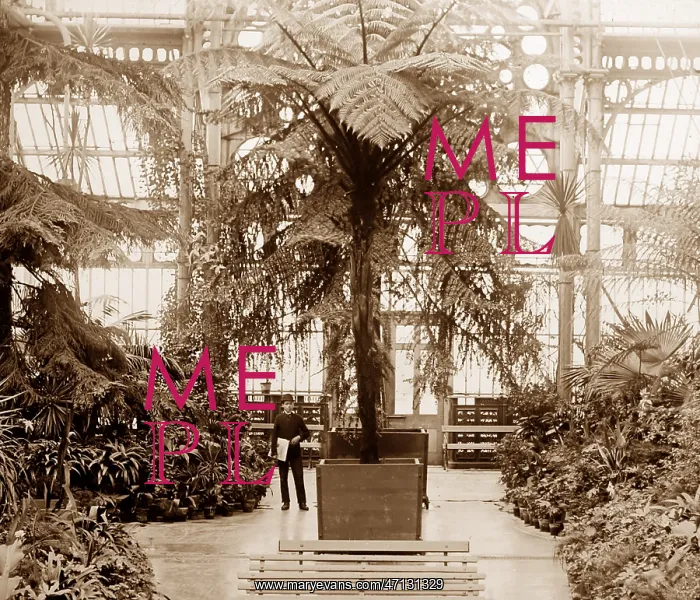  : Winter Gardens Conservatory, Southport, Victorian period