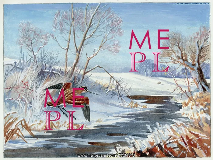  : When Winter Grips the Mazy Stream