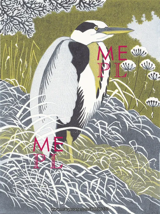 : Winter Heron : Winter Heron