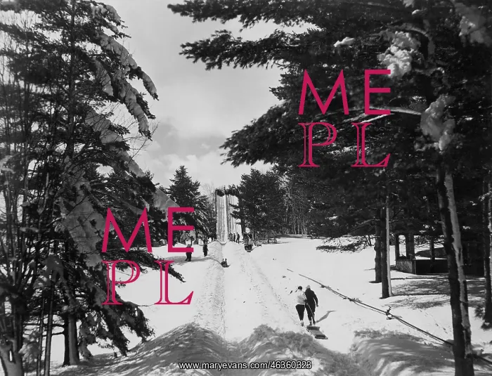 : Winter Holiday : Winter Holiday