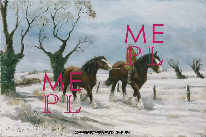: Winter Horses : Winter Horses
