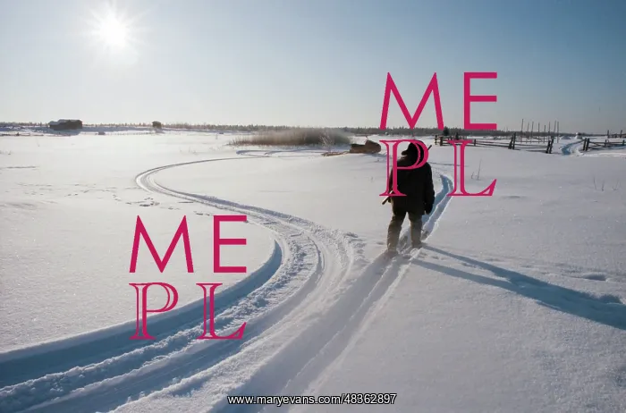 : Winter hunting : Winter hunting