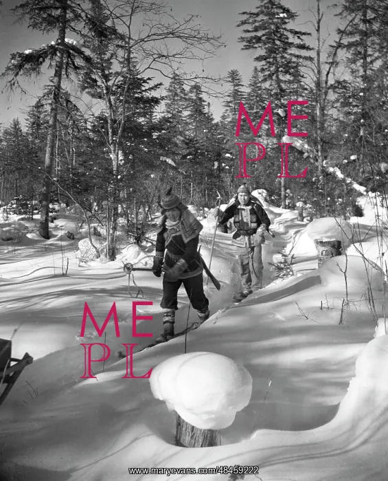  : Winter hunting
