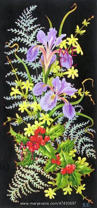 : Winter iris, winter jasmine, holly, ferns : Winter iris, winter jasmine, holly, ferns