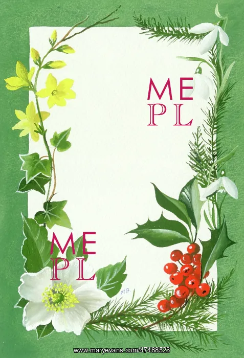  : Winter jessamine, ivy, etc