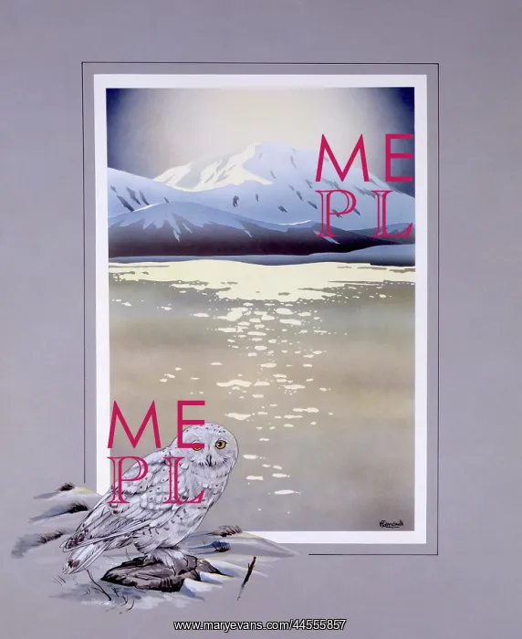 : Winter lake with mountains with Snowy Owl : Winter lake with mountains with Snowy Owl