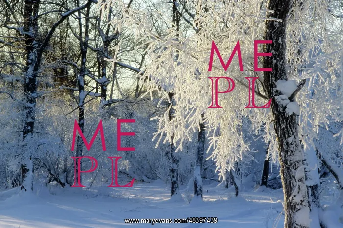 : Winter landscape, 1982 : Winter landscape, 1982