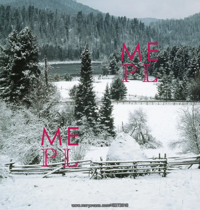 : Winter landscape, 1989 : Winter landscape, 1989