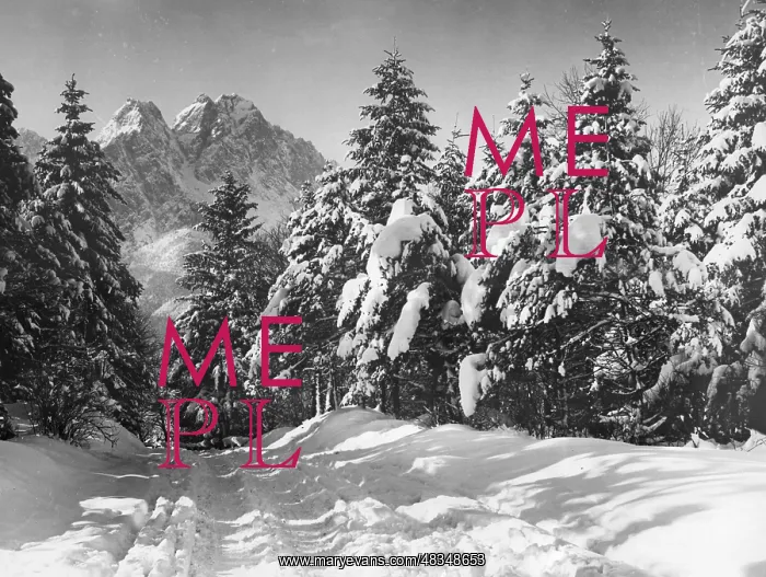 : Winter magic in Garmisch-Partenkirchen, around 1925 : Winter magic in Garmisch-Partenkirchen, around 1925