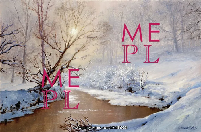 : Winter Morning ' snowy landscape : Winter Morning ' snowy landscape