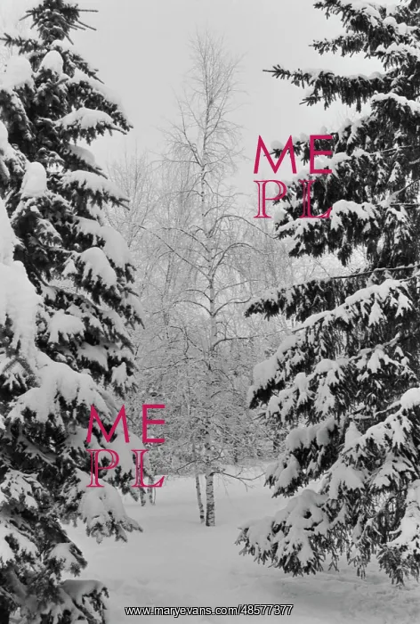 : Winter in Moscow region : Winter in Moscow region