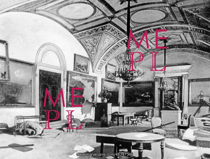 : The Winter Palace, 1917 : The Winter Palace, 1917