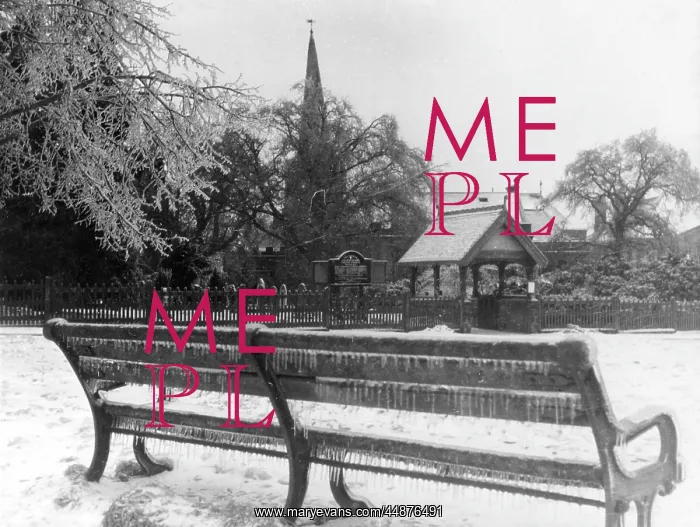 : WINTER IN THE PARK : WINTER IN THE PARK