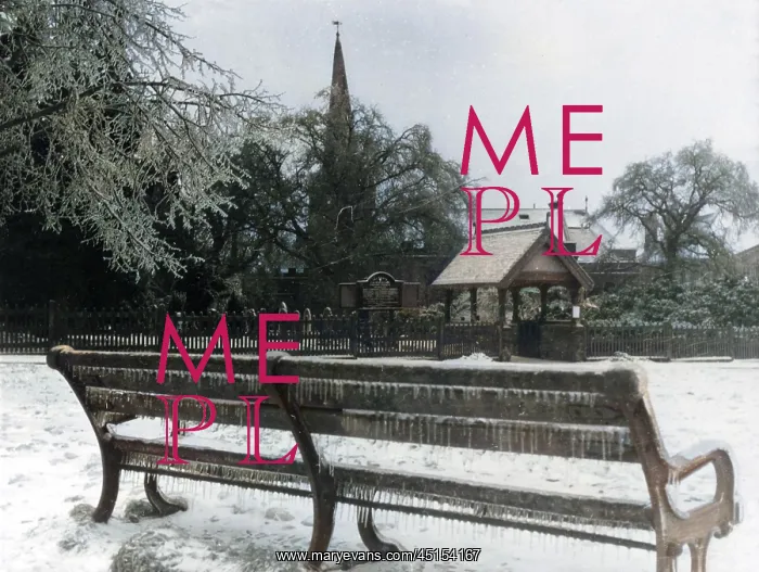 : WINTER IN THE PARK : WINTER IN THE PARK