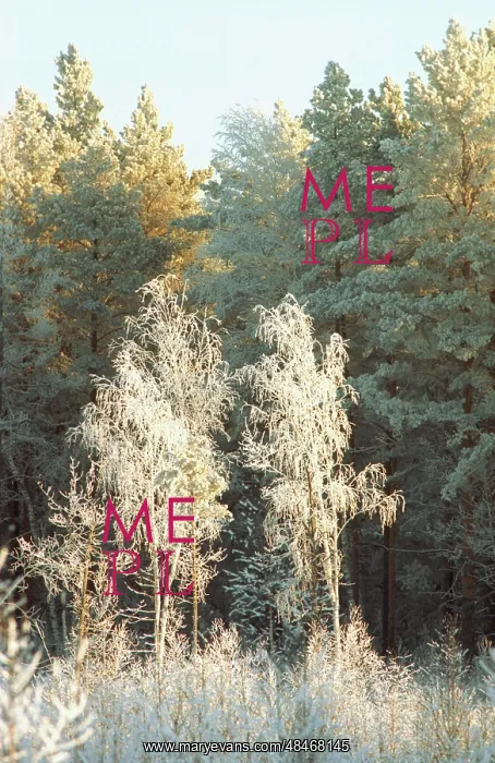 : Winter photo art work, 1994 : Winter photo art work, 1994