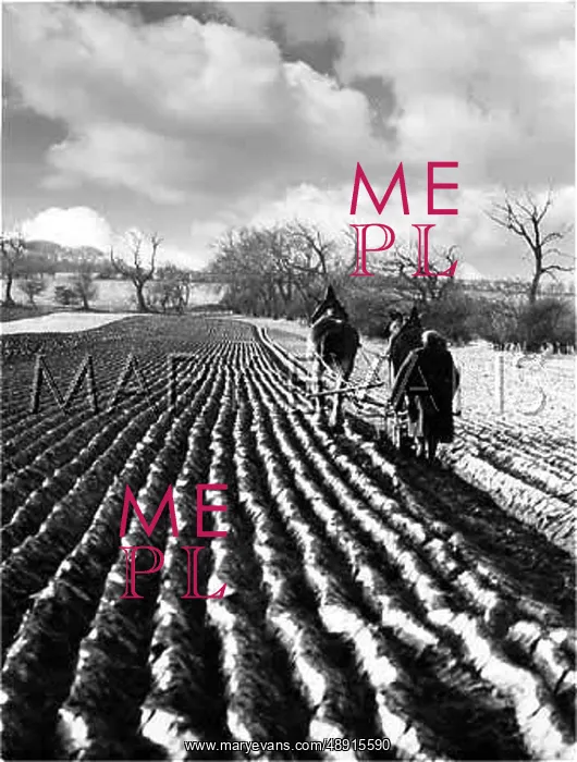 : WINTER PLOUGHING : WINTER PLOUGHING