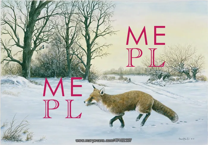 : Winter Ramble ' fox in a snowy landscape : Winter Ramble ' fox in a snowy landscape