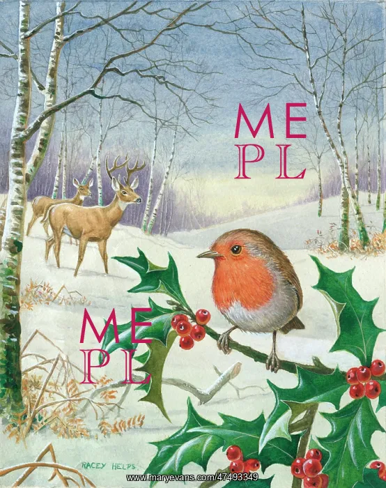 : Winter - robin on holly branch with deer : Winter - robin on holly branch with deer