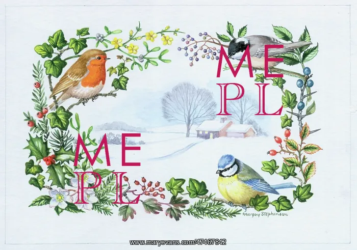 : Winter Scene border of birds and winter foliage : Winter Scene border of birds and winter foliage