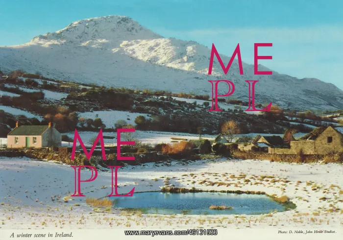  : Winter scene in Cooley Mountains, County Louth, Ireland