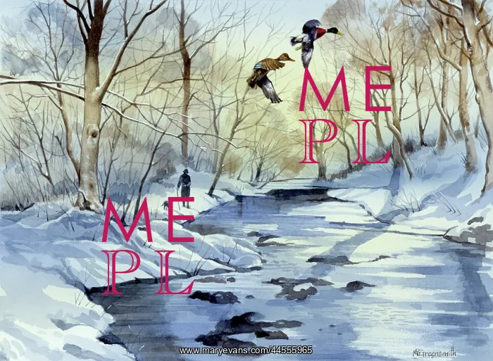 : Winter scene with frozen river and two flying ducks : Winter scene with frozen river and two flying ducks
