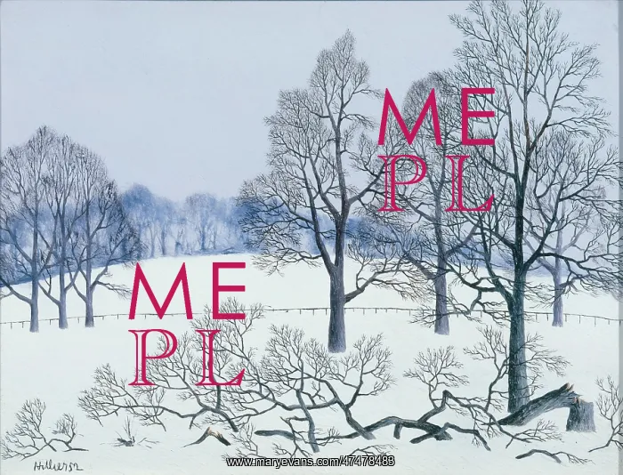 : Winter Scene with Trees : Winter Scene with Trees